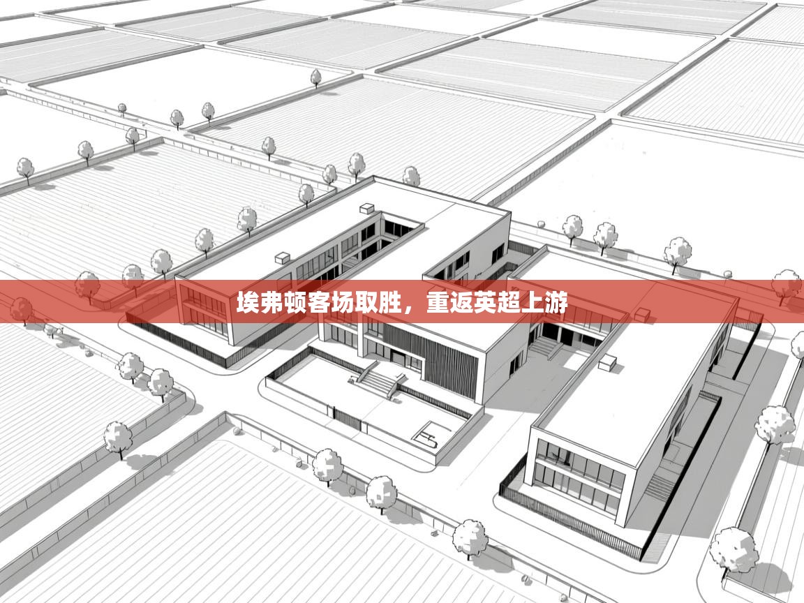 埃弗顿客场取胜，重返英超上游  第1张