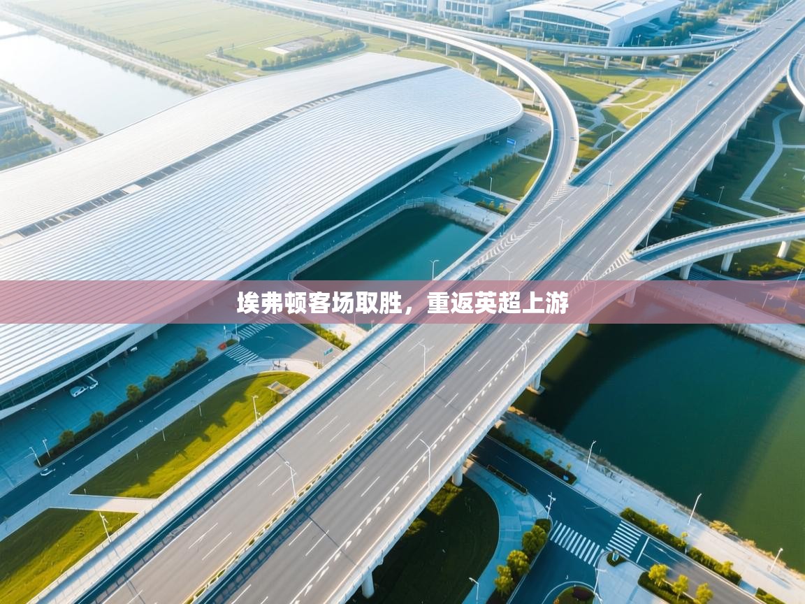 埃弗顿客场取胜，重返英超上游  第2张