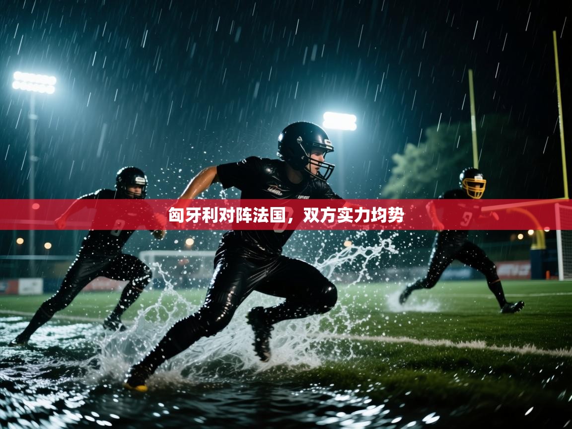匈牙利对阵法国，双方实力均势  第1张