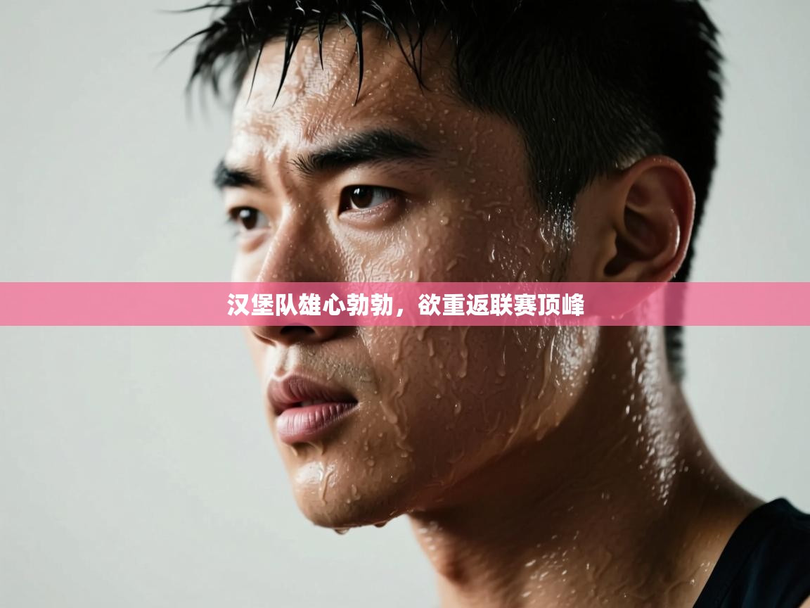 汉堡队雄心勃勃，欲重返联赛顶峰  第2张