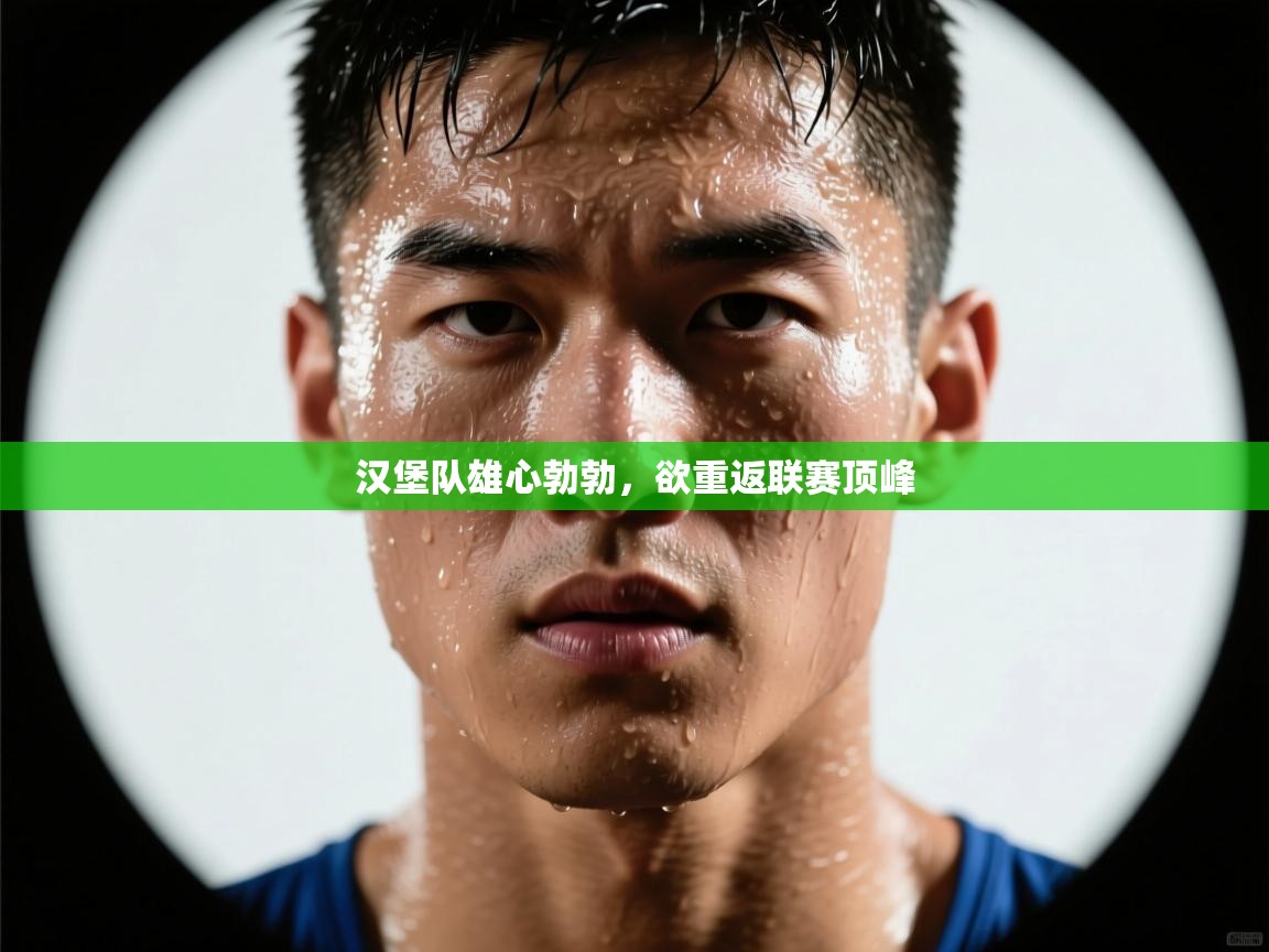 汉堡队雄心勃勃，欲重返联赛顶峰  第1张