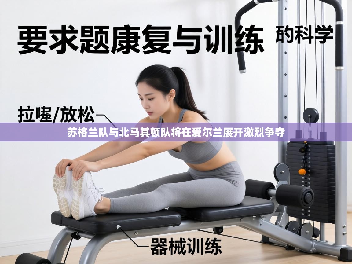 苏格兰队与北马其顿队将在爱尔兰展开激烈争夺  第1张