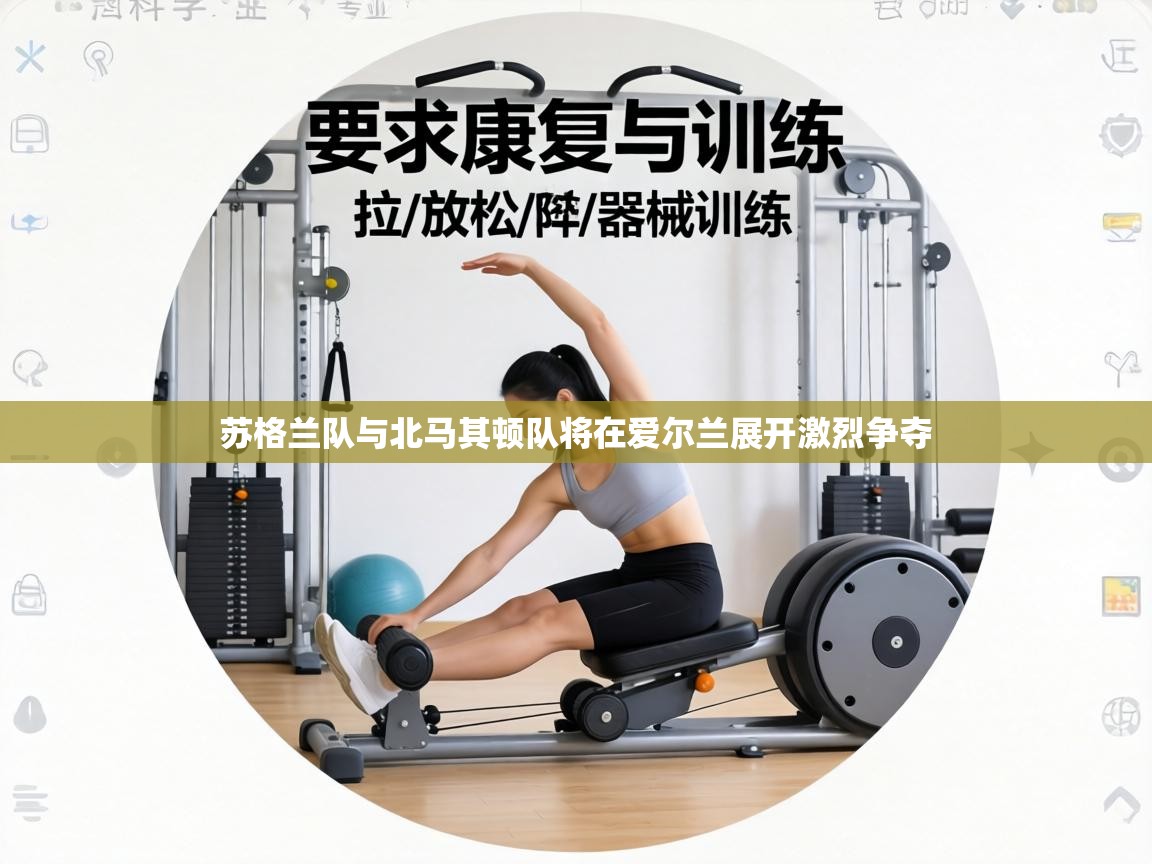 苏格兰队与北马其顿队将在爱尔兰展开激烈争夺  第2张